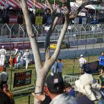 LBGP_0060 (April 16, 2011)